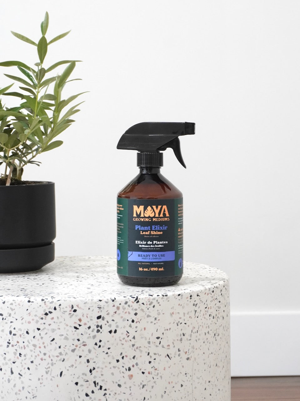 Maya Plant Elixir with Neem