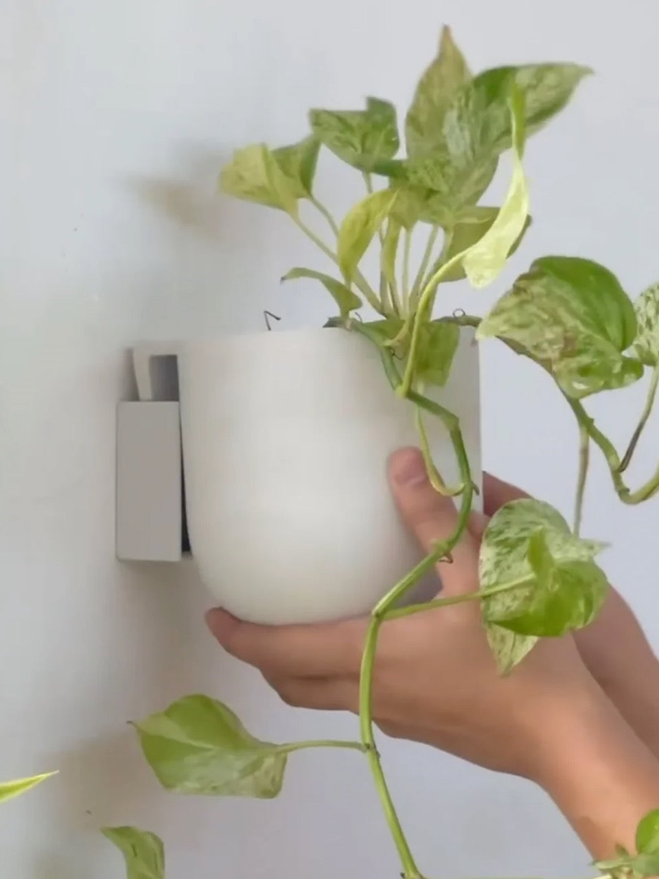 Kanso Recycled Wall Mounted Pot, Small 5"