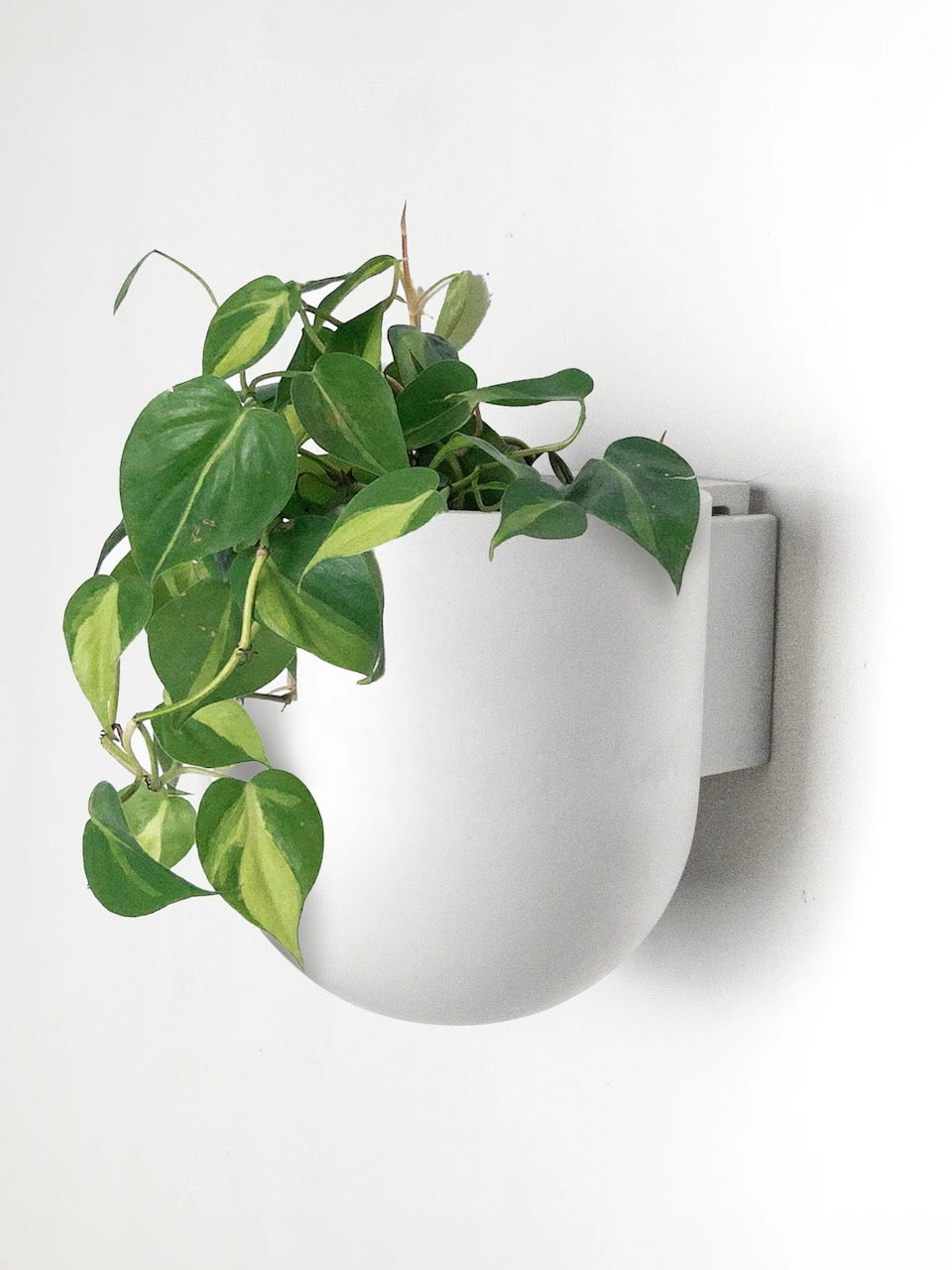 Kanso Recycled Wall Mounted Pot, Small 5"