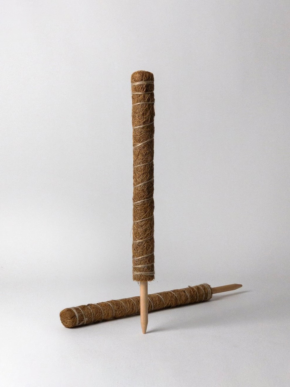 Kanso Coir Plant Support, Small