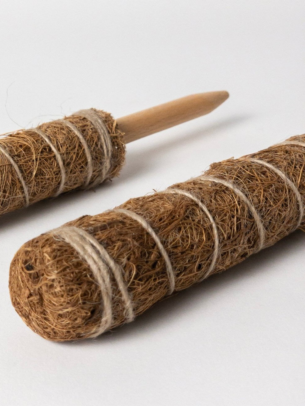 Kanso Coir Plant Support, Small