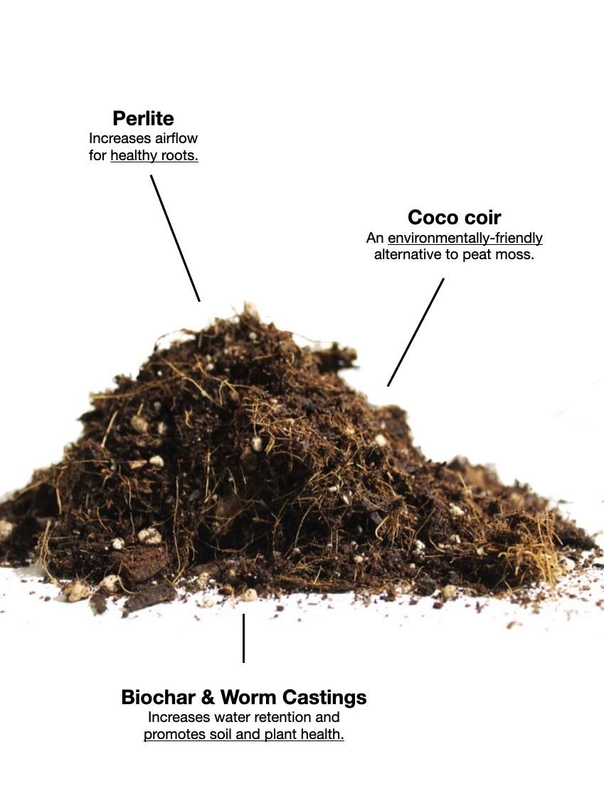 Cactus & Succulent Soil Mix